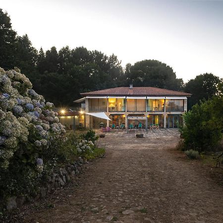 Braga House & Wine Villa Eksteriør bilde