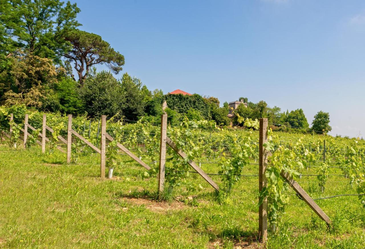 Braga House & Wine Villa Eksteriør bilde