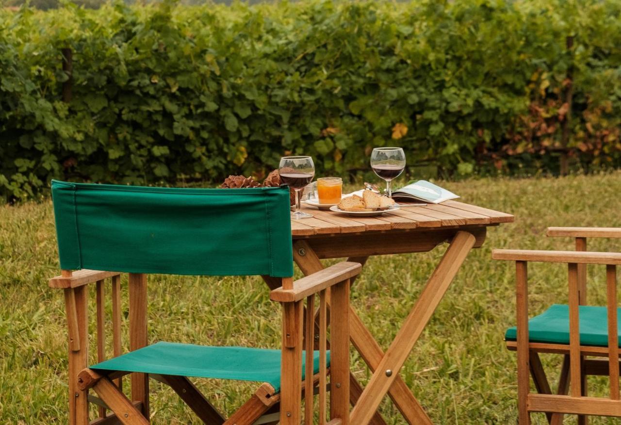 Braga House & Wine Villa Eksteriør bilde